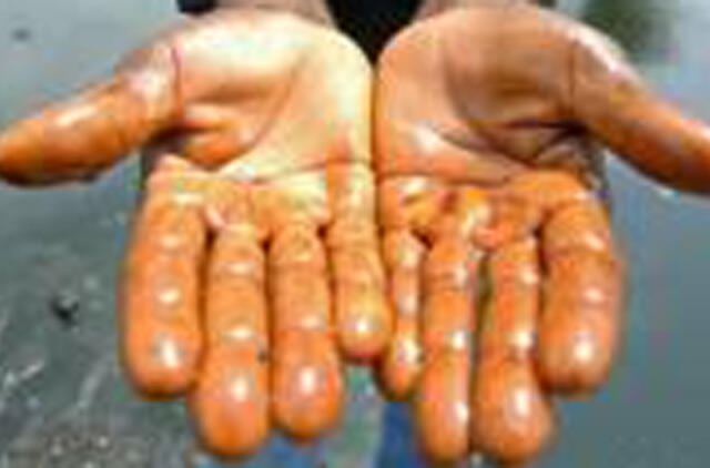 Indija: ministras leido savo pavaldiniams vogti