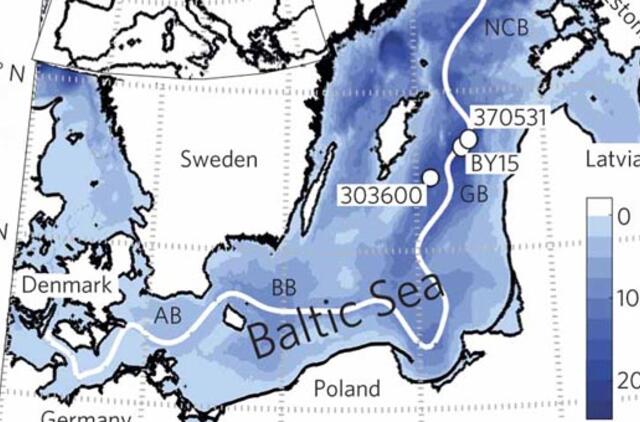 Klimato kaita didina "mirties zonas" Baltijos jūroje