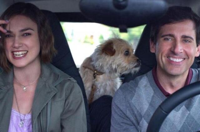 Komiko Steve‘o Carrello 50-mečio proga – 10 šmaikščių vadovo etiketo taisyklių