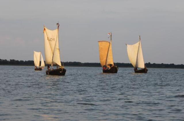 Kuršių mariomis lakstys burvaltės