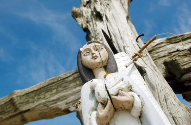 Medikai: "Visuomenę reikia supurtyti"