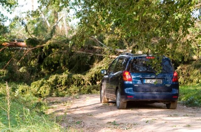 Meteorologai perspėja dėl vėjo gūsių
