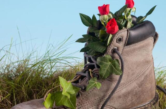 Patarimai sodininkams: rugsėjo darbai pagal Mėnulį