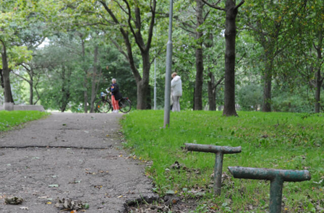 Ąžuolų giraitė dar nedžiugins