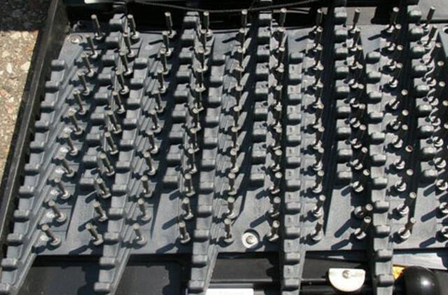 Girto vairuotojo gaudynes nutraukė "ežys"