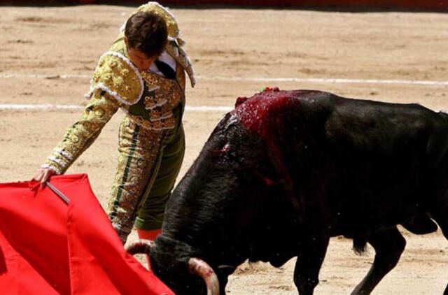 Ispanijos televizija vėl tiesiogiai transliuos bulių kautynes