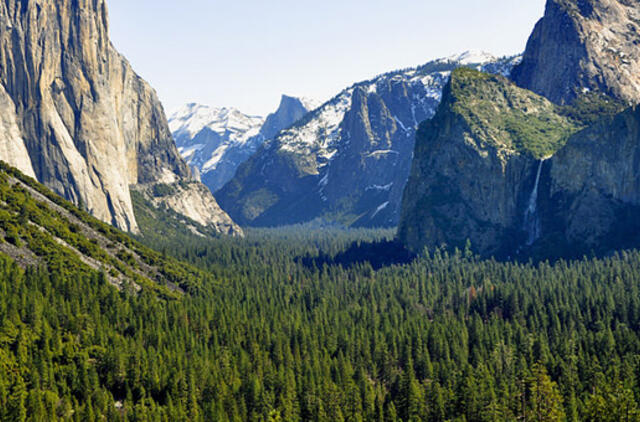 JAV užfiksuota mirtinai pavojingos ligos protrūkis