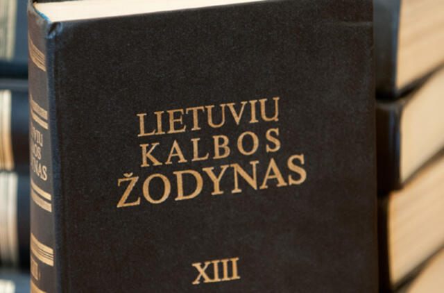 Lietuvių kalbos institutas: kodėl užsienio kalbos statusas viršesnis už valstybinės lietuvių kalbos statusą?