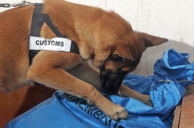 Savigyda užsiimantys lietuviai iš Kinijos siuntėsi vaistų "Ami. Amen"