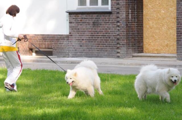 Siūloma nustatyti privalomą gyvūnų registraciją