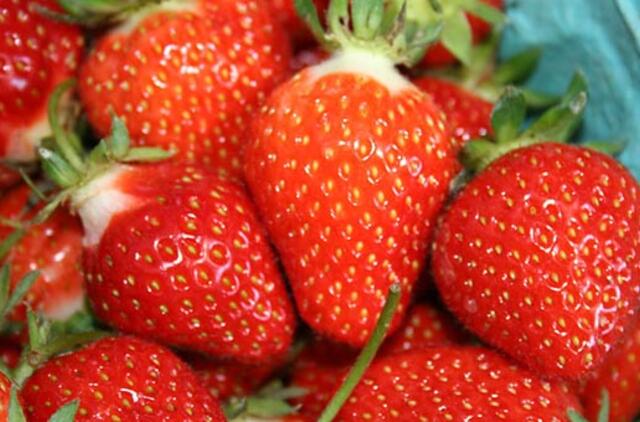 Su braškėmis iš Kinijos atkeliavo ir virusas