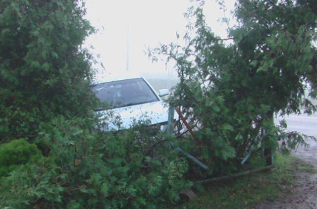 Įmantriame posūkyje jauna mama vartė tujas