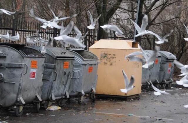 Klaipėdiečiai Norvegijoje semsis atliekų tvarkymo žinių