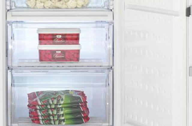 Maisto produktų užšaldymas – vienas geriausių būdų išsaugoti maistines produktų savybes