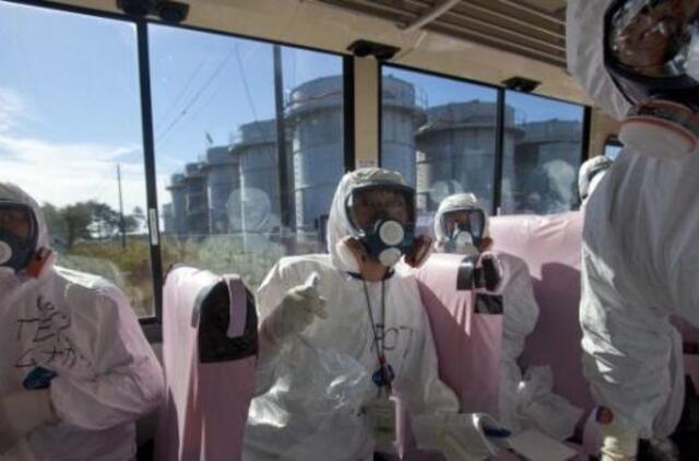 Pažeistus reaktorius siūlo tirti kosminiais spinduliais