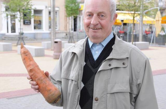 Rudens dovana - įspūdingo dydžio morka