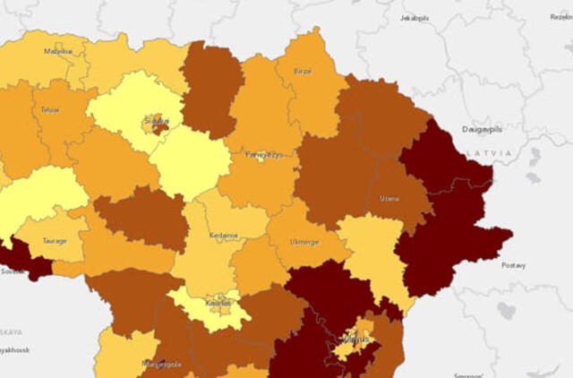 Seimo rinkimų rezultatus bus galima analizuoti ir žemėlapyje