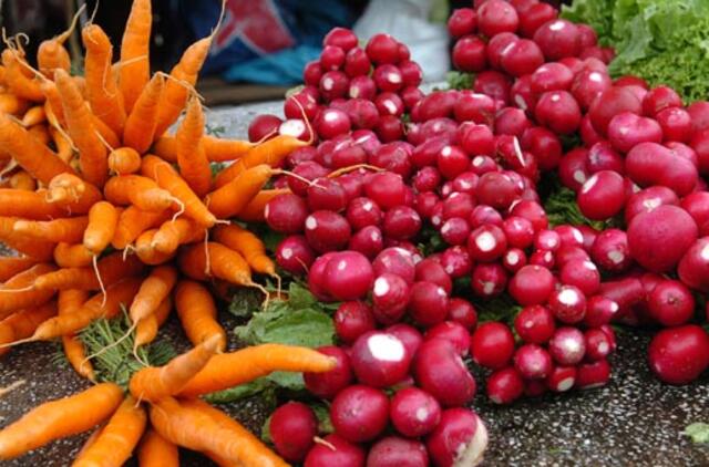 Teigė, kad 800 tūkst. litų uždirbo kieme augindamas daržoves