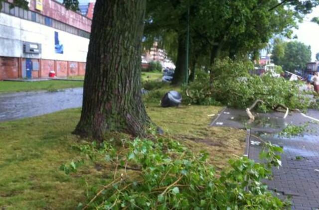 Vėtra vartė medžius, bet aukų nepareikalavo