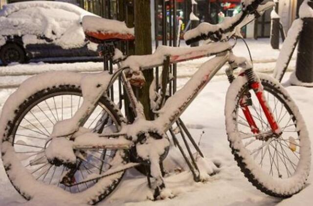 Vokietiją užklupo žiema: strigo traukiniai, lūžo medžiai