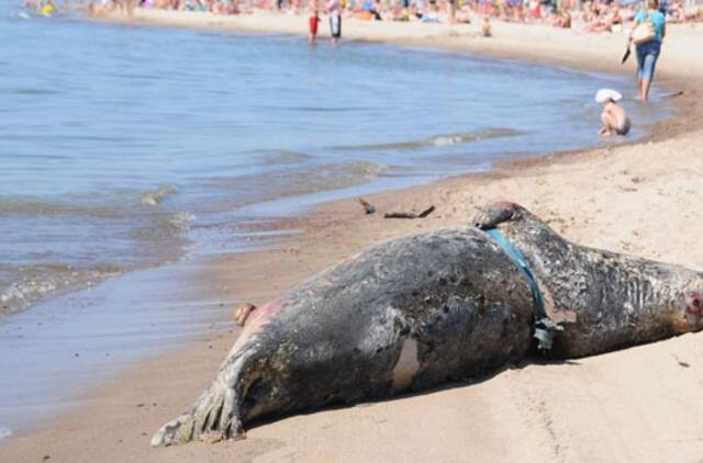 Žvejai nori virsti ruonių medžiotojais