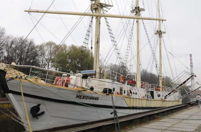 Bulvaras: Žiurkės pranašės