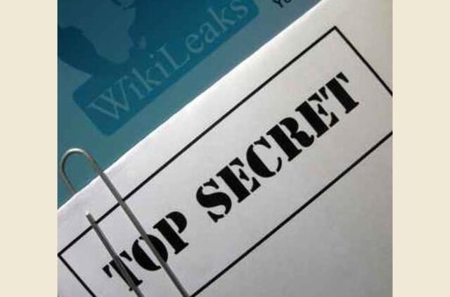 Įtariamas "WikiLeaks" informatorius pasiūlė prisiimti kaltę dėl kelių kaltinimų