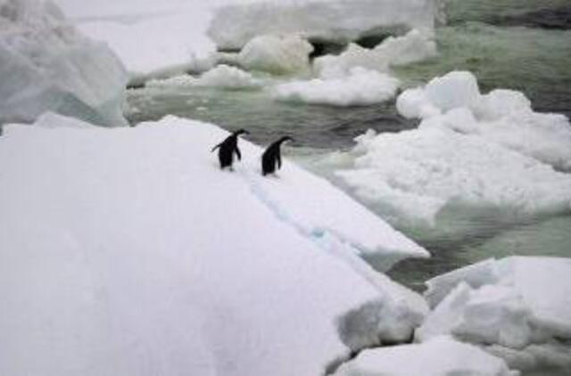 Lediniame Antarkties ežere mokslininkai atrado gyvų organizmų
