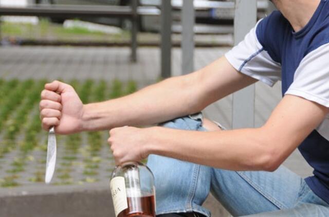 Nusikaltimų žemėlapis padės apsispręsti renkantis gyvenamąją vietą