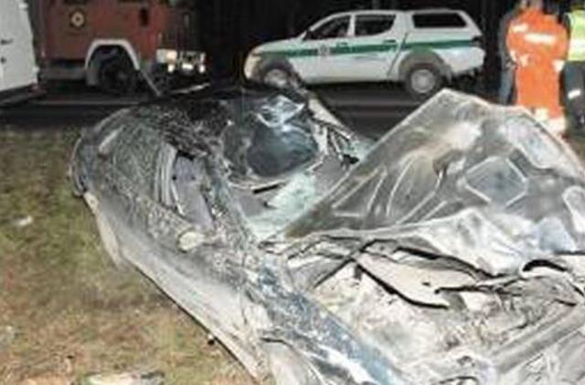 Pastojo kelią žvėris - pastos ir policija