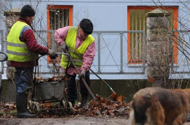 Rudeniniai lapai daugeliui - tiesiog šiukšlė
