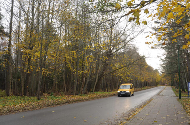 Savivaldybė Giruliuose nori daugiau gyventojų