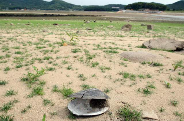 Šiaurės Korėja atlieka raketų bandymus, tvirtina JAV institutas