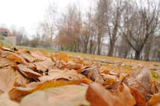 Sinoptikai: orai šią savaitę išliks šilti