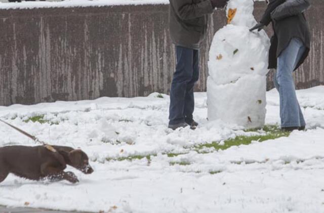 Vėstant orams: paruoškite šunį žiemai