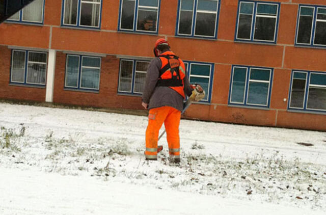 Bulvaras: Su žoliapjove - prieš sniegą