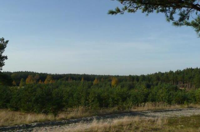 Galime netekti tokios Kuršių nerijos, kokią esame įpratę matyti