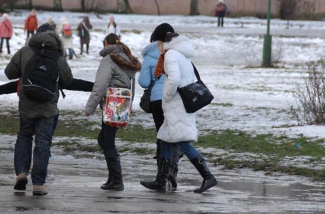 Savaitę baigsime pliusine temperatūra