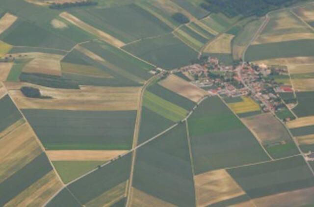 Apleistų žemių savininkams – maksimalūs mokesčiai