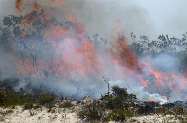 Australija: gaisrai pasiekė observatoriją su unikaliu teleskopu
