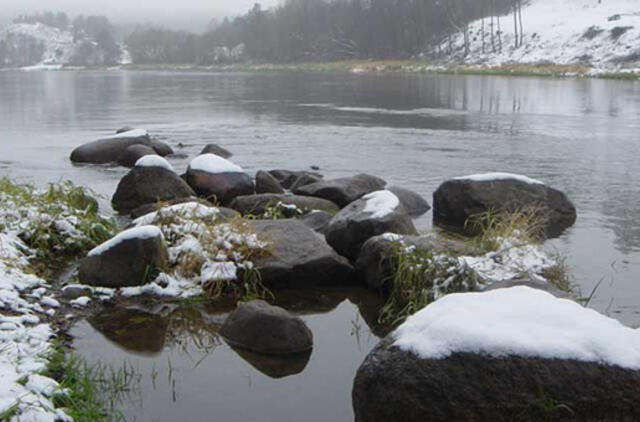 Du Prienų rajono gyventojai vežė Nemunu atplukdytas cigaretes
