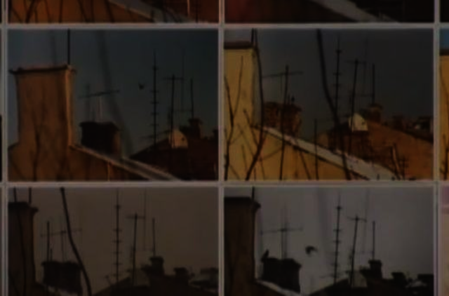 „Kasdienybės metamorfozes“ fiksavo pro virtuvės langą