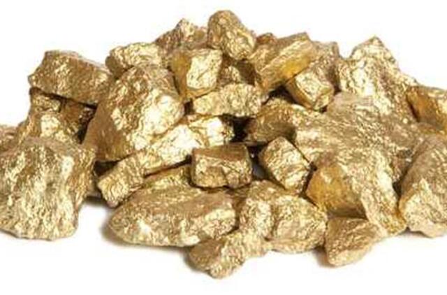 PAR: sulaikyti keturi užsieniečiai, gabenę keturias tonas aukso