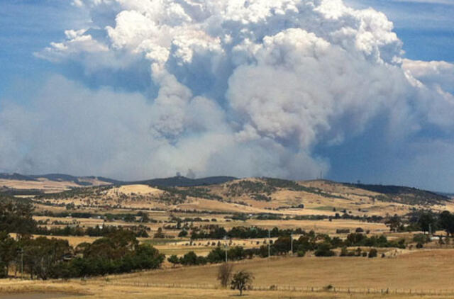 Pietų Australijoje siaučia miškų gaisrai