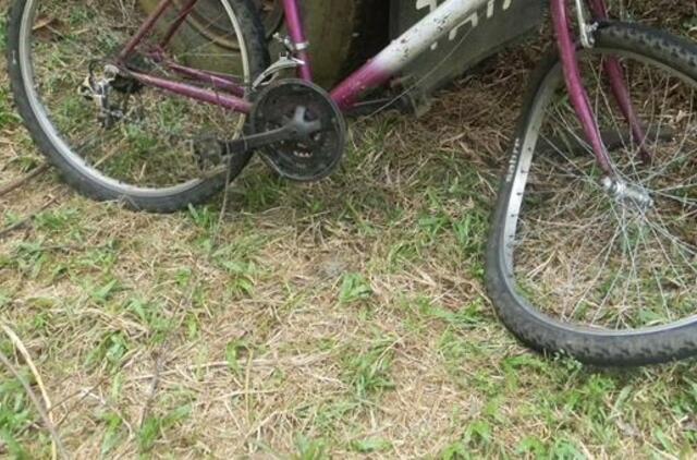 Šilutės rajone mirtinai sužalotas dviratininkas