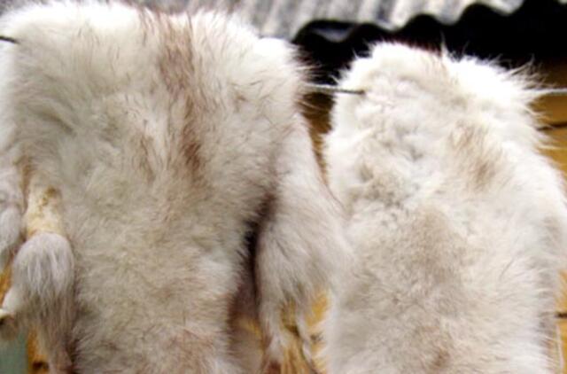 Tauragės rajone pavogė pustrečio šimto brangiakailių žvėrelių