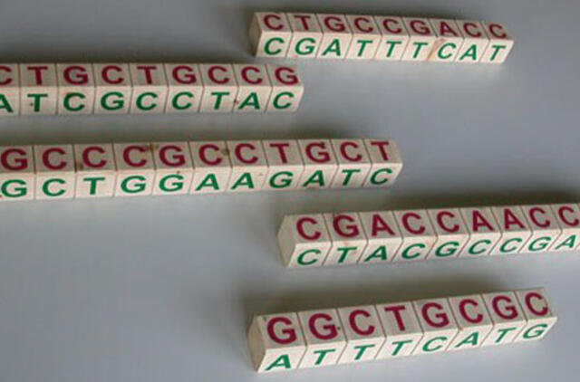 Genai iš niekur: stulbinanti našlaičių istorija