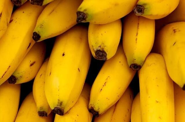 Belgija: dėžėse su bananais rasta daugiau kaip 60 kilogramų kokaino