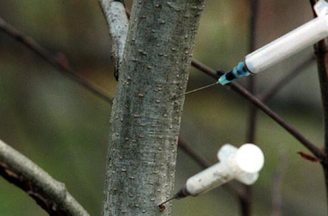 Grasino medicininiu švirkštu užkrėsti mirtina liga