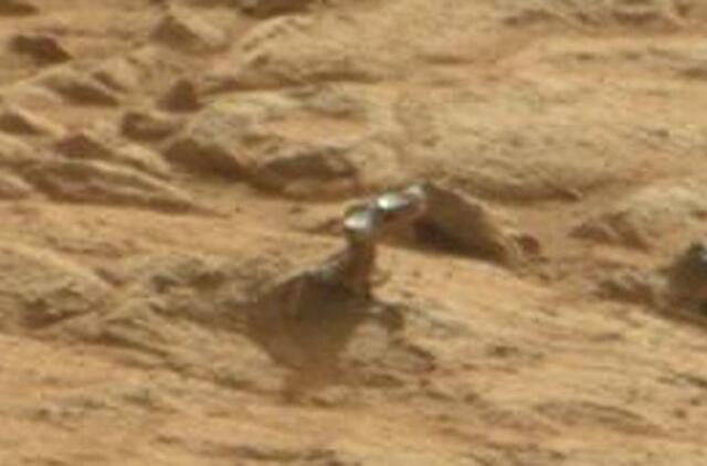 Marsaeigis nufotografavo blizgantį objektą, panašų į metalinį koralą